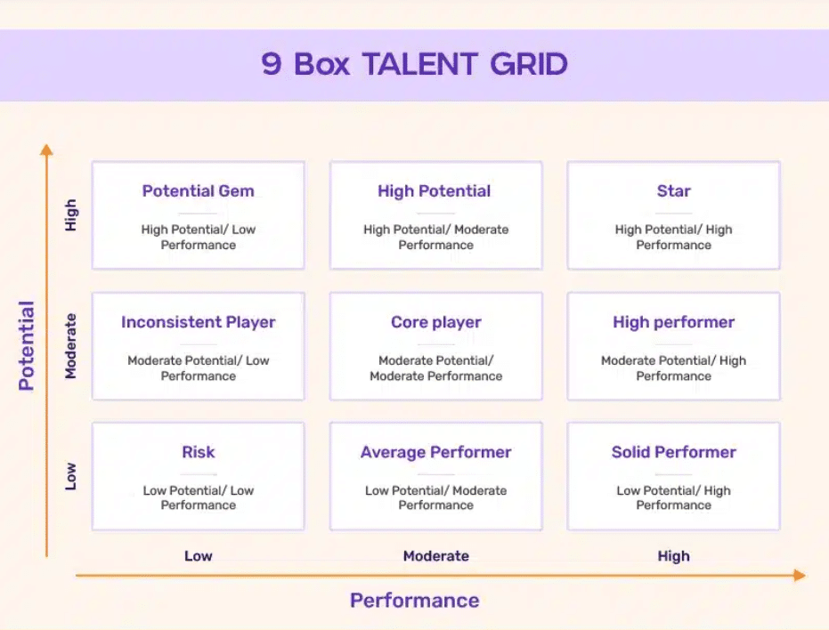 9 Box talent grid